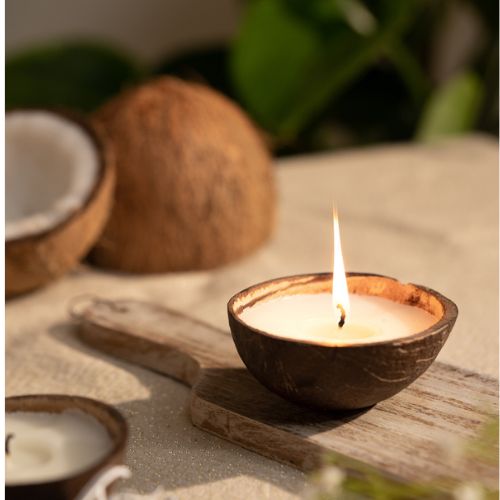 Unscented - Coconut Soy Candles - Coconut Crafts