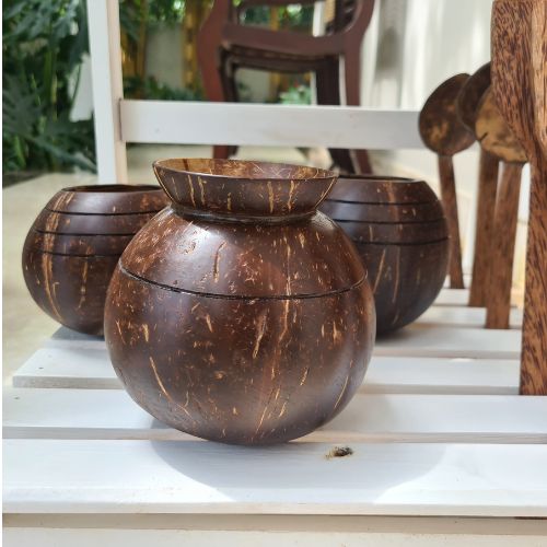 Coconut Shell Pot Shape Planter - Coconut Crafts